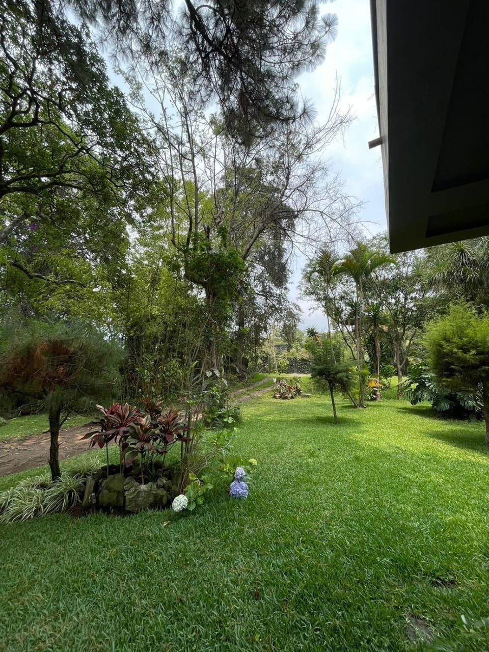 Day, Natural landscape, Garden view
