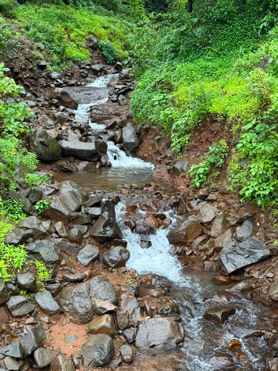 Woodburry house Villa in Maharashtra