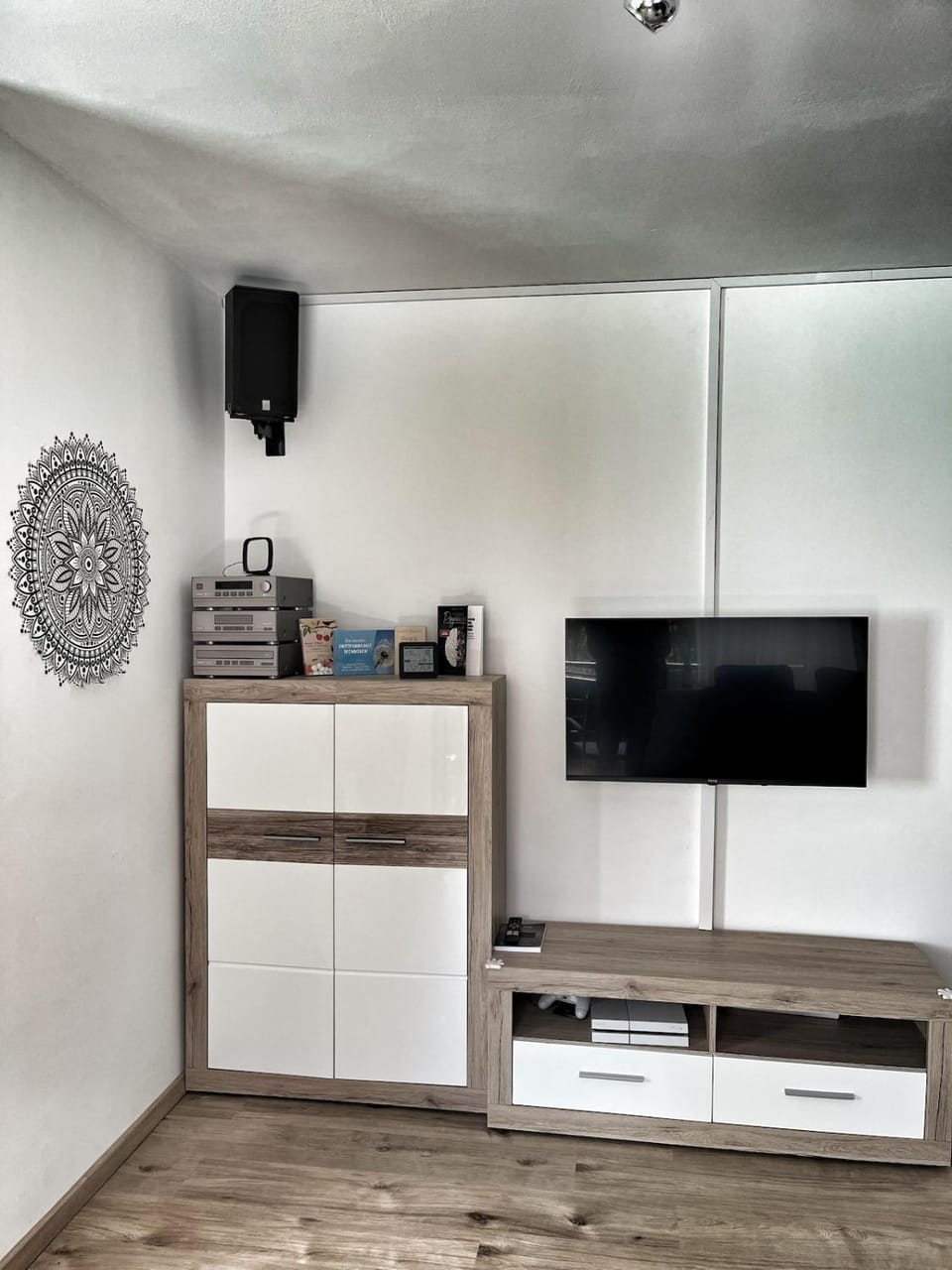 TV and multimedia