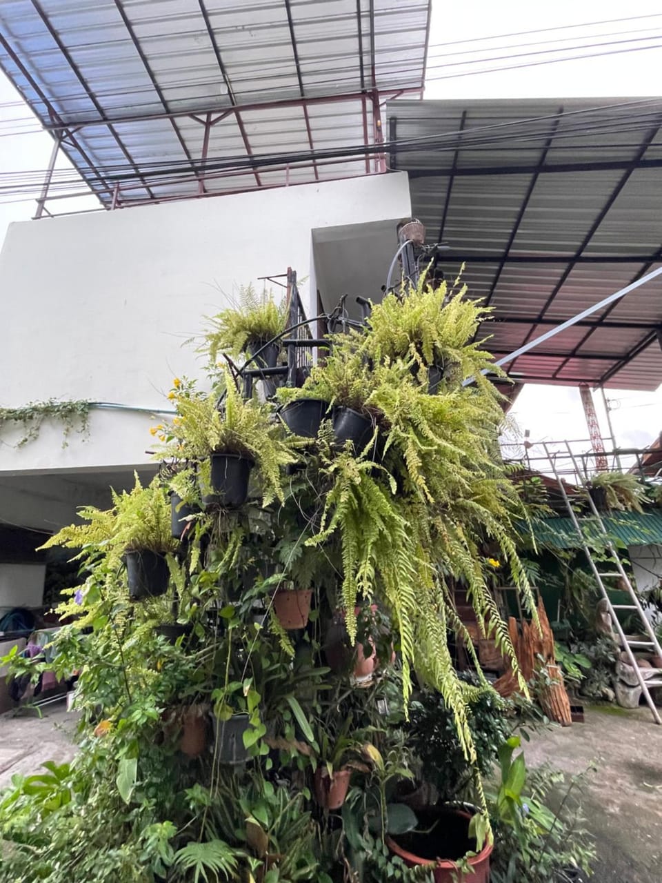 เฮือนล้านนา Apartment in Chiang Mai