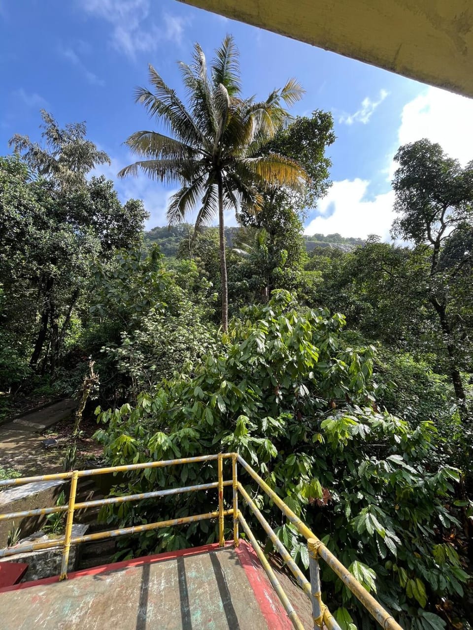 Balcony/Terrace