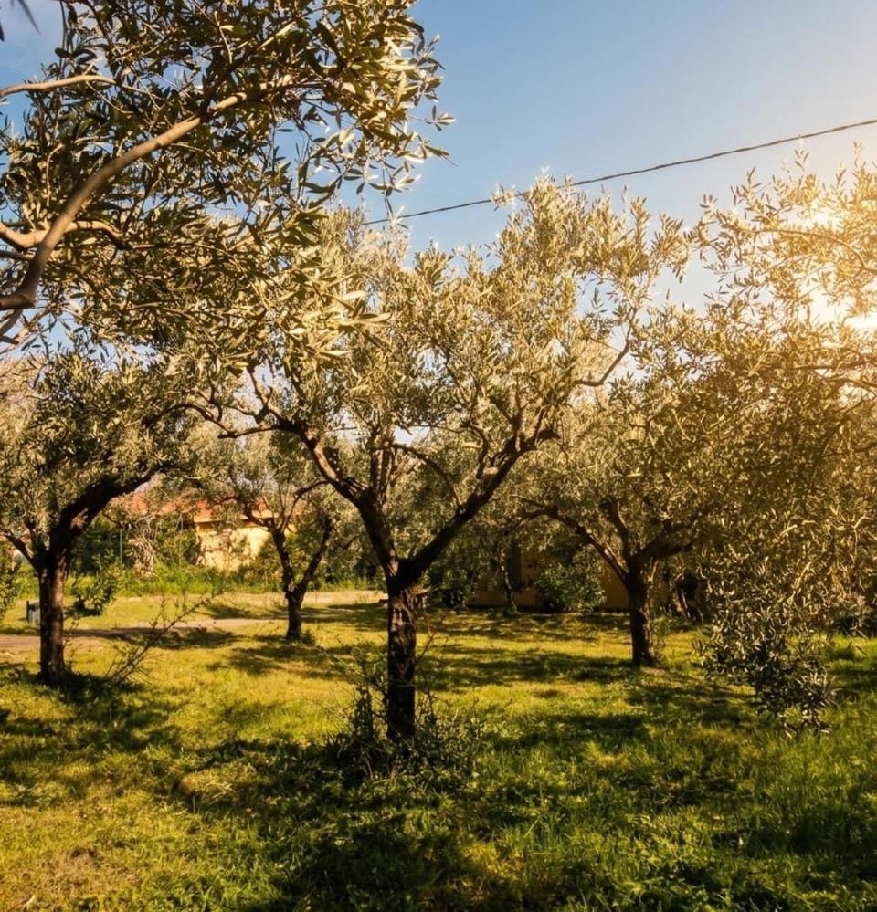 Casa Pizzillo, Oasi di Pace vicino Cefalù House in Sicily