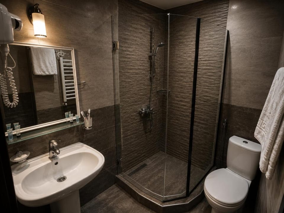 Shower, Toilet, Bathroom, bidet, towels