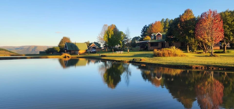 Natural landscape, Garden