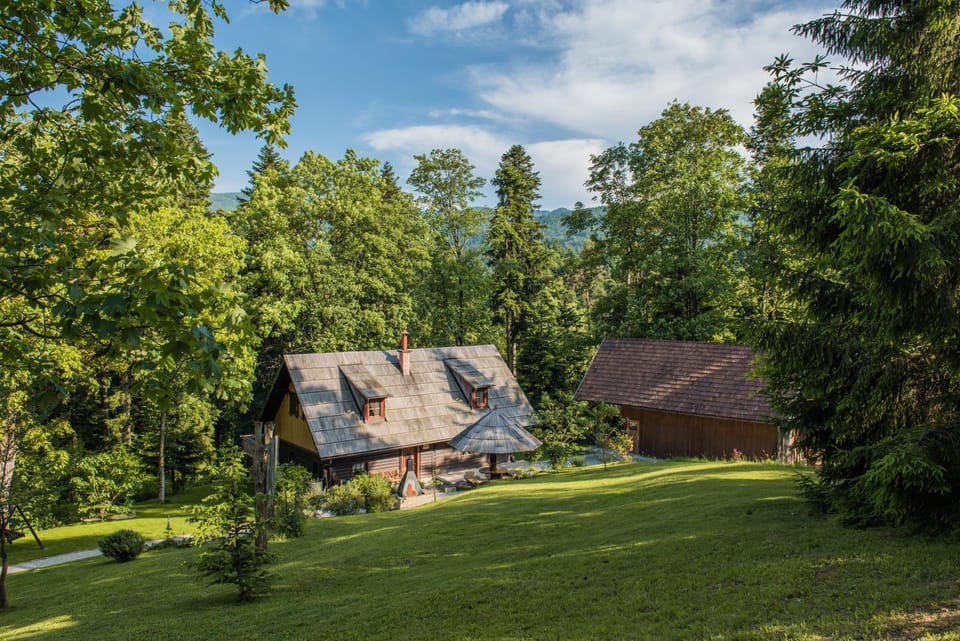 Natural landscape, Garden