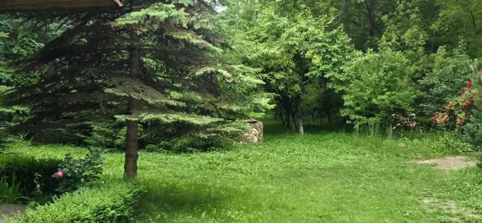 Dacha Green House House in Armenia