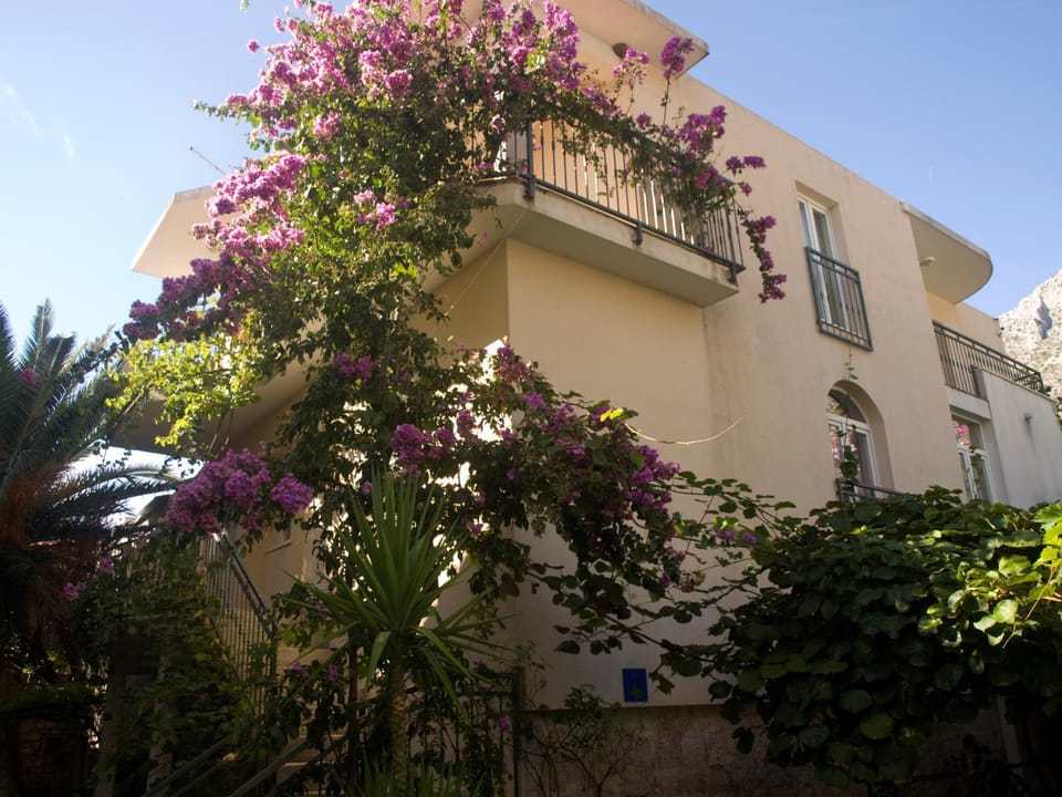 Property building, Natural landscape