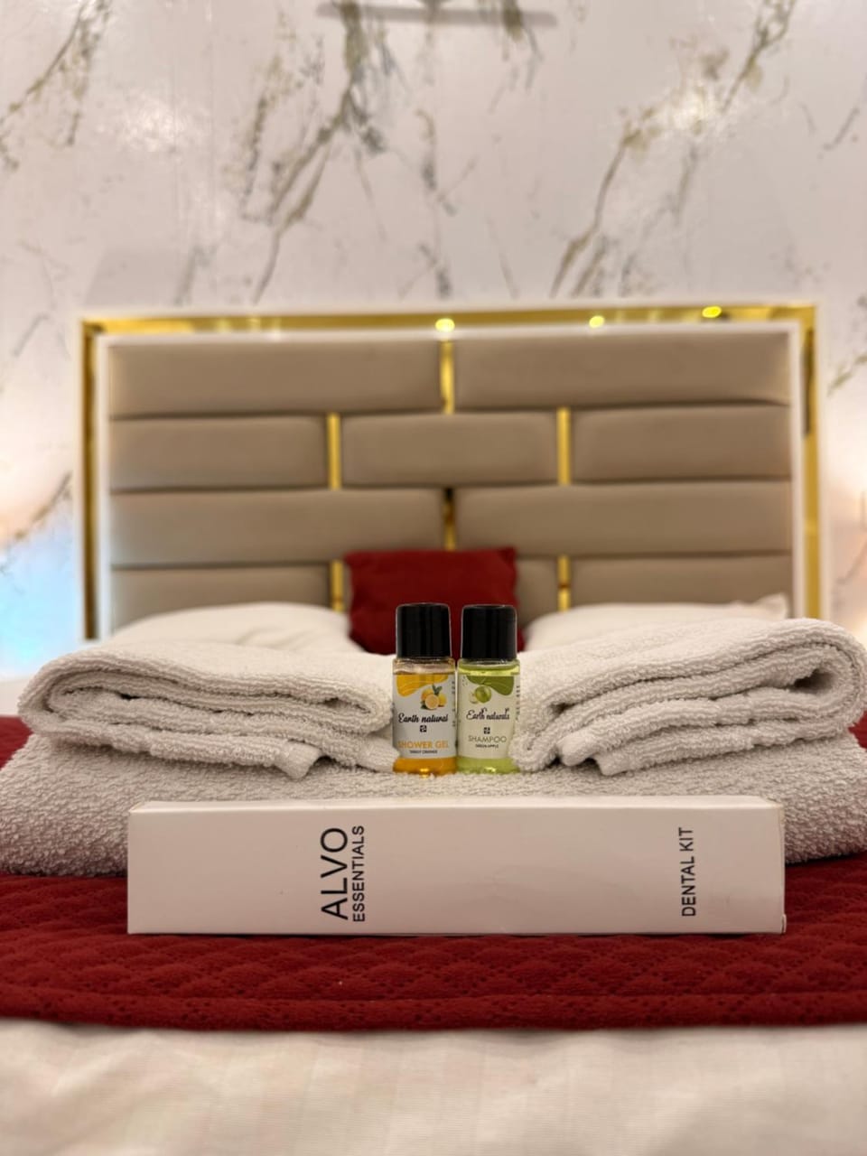 JJ Resiidency Bed and Breakfast in Noida