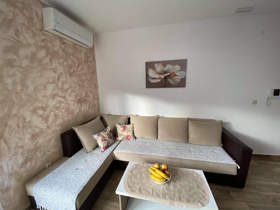Apartment Dragan Apartment in Budva