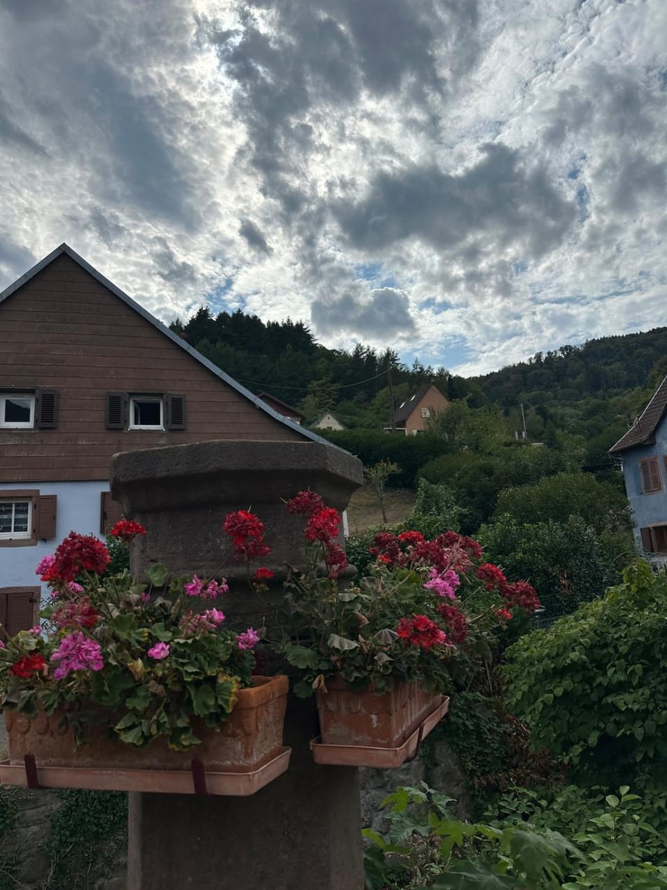 Suite familiale moderne au cœur de Fréland Apartment in Vosges