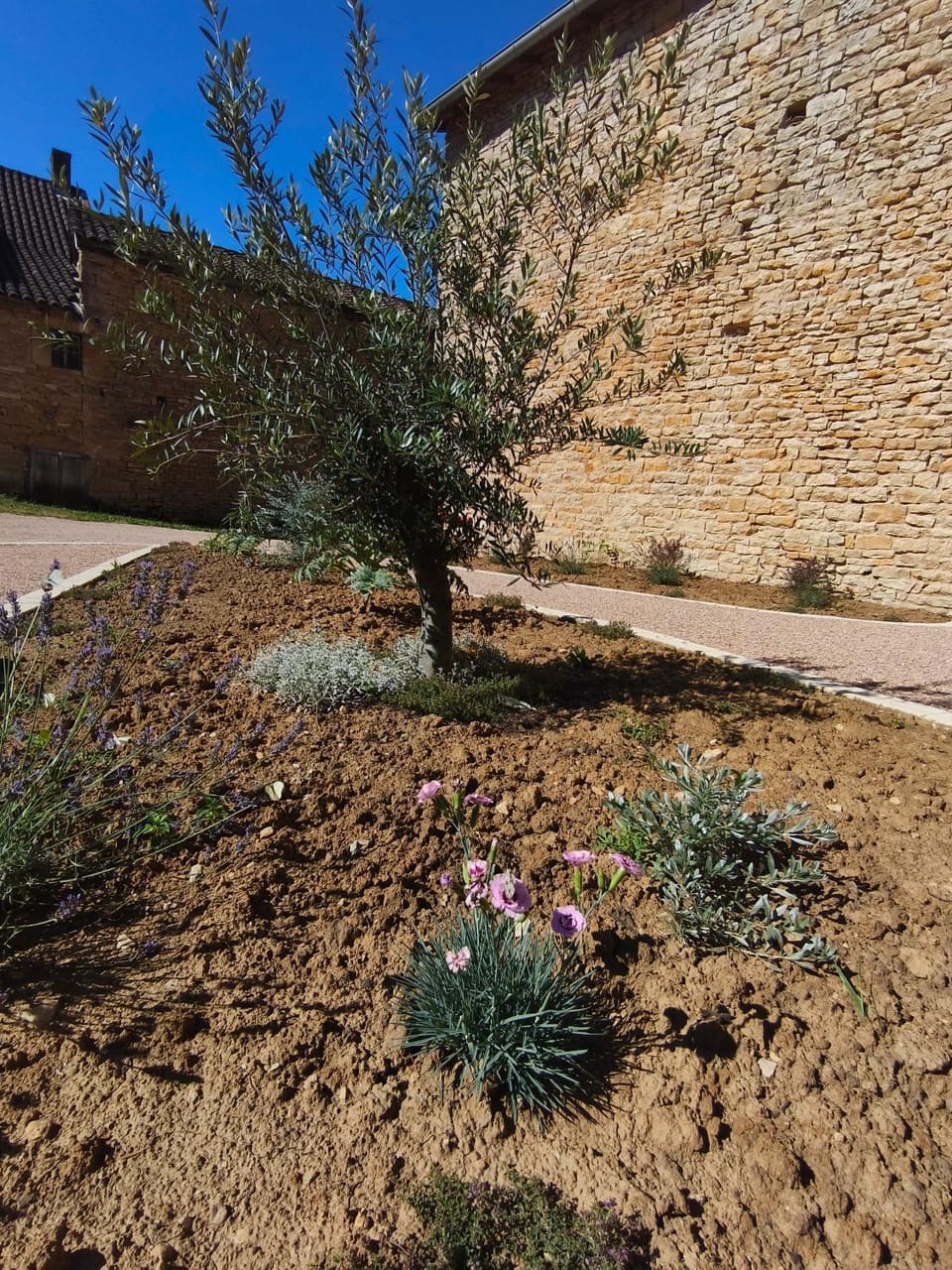 Inner courtyard view