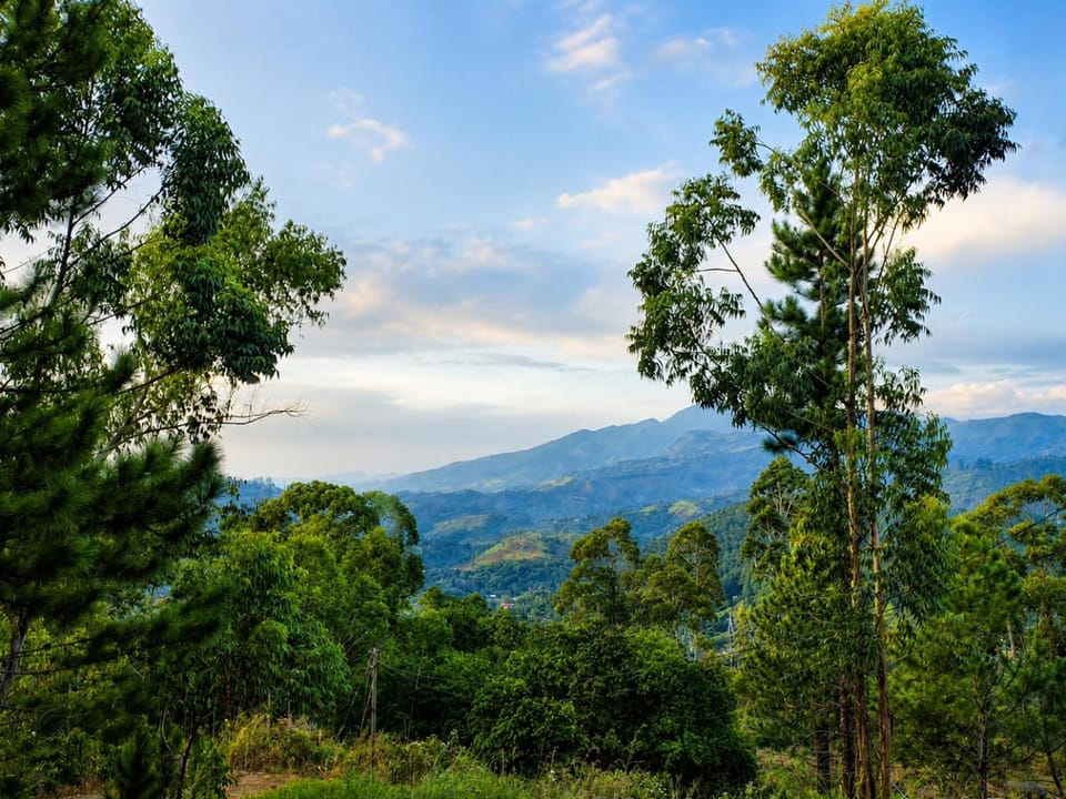 Mountain view