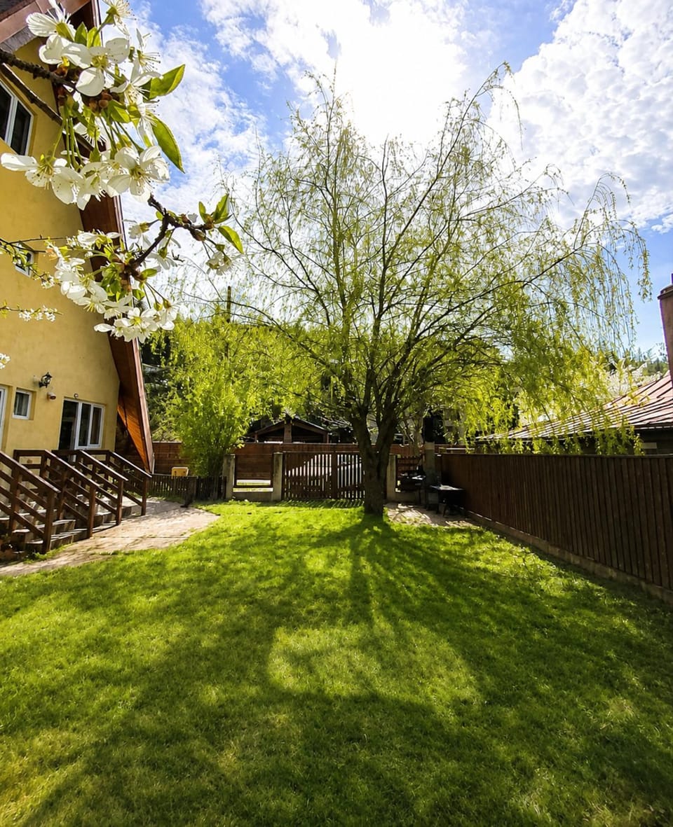 Property building, Spring, Day, Natural landscape, Garden, Garden view