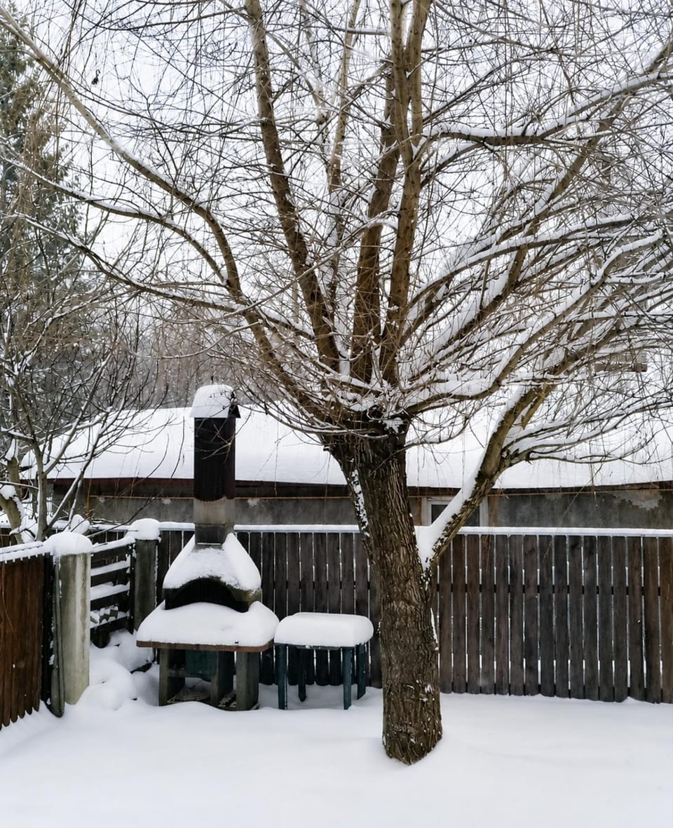 Day, Natural landscape, Winter, BBQ facilities, BBQ facilities