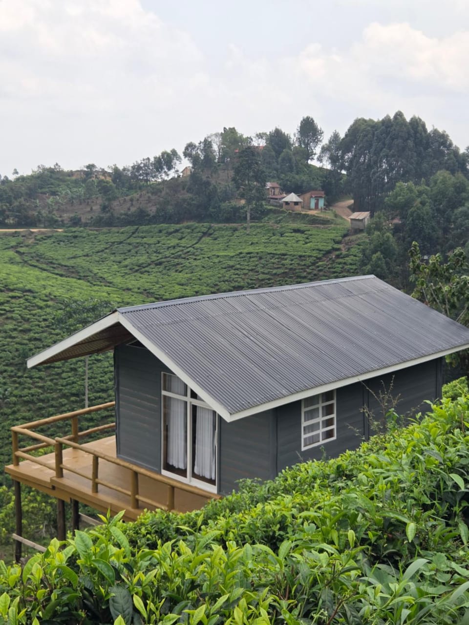 Mukiza Gorilla Lodge Nature lodge in Uganda