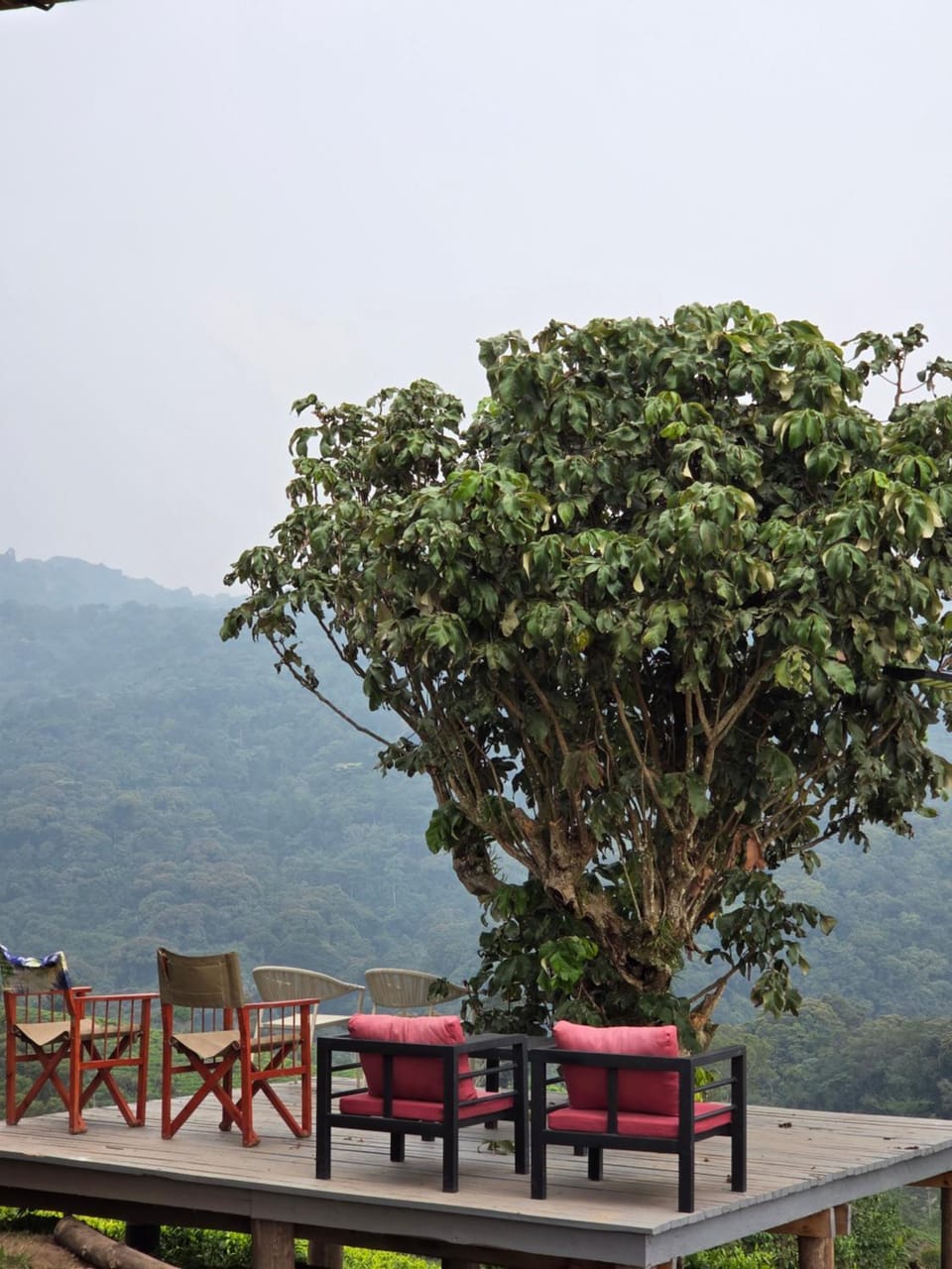 Mukiza Gorilla Lodge Nature lodge in Uganda