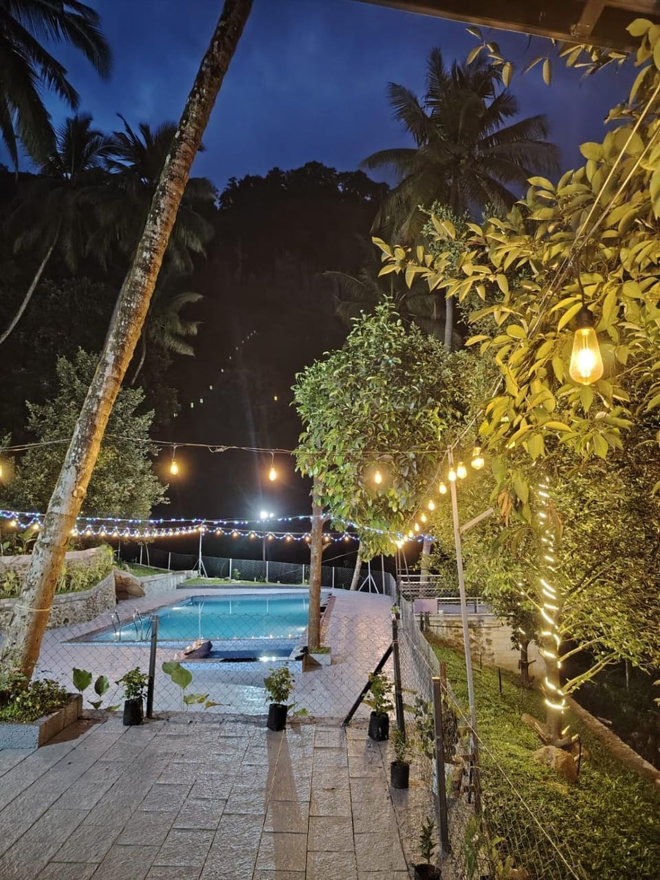 Garden, Swimming pool