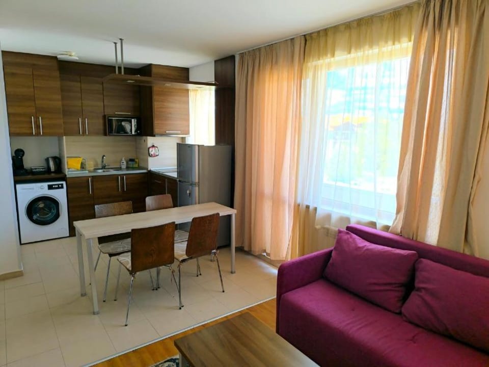 Kitchen or kitchenette, Living room, Seating area, stove, toaster, washing machine