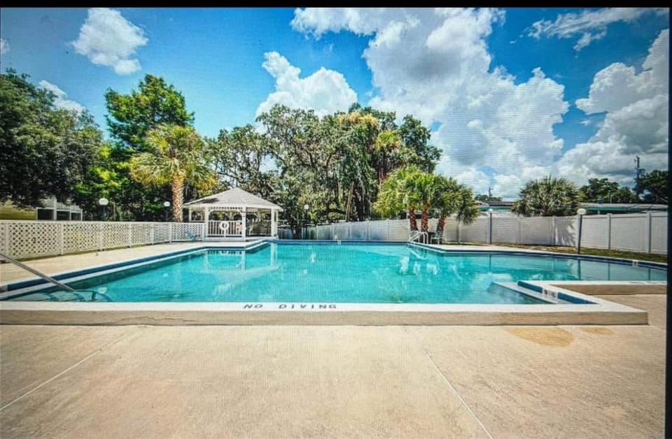 Pool view, Swimming pool, sunbed