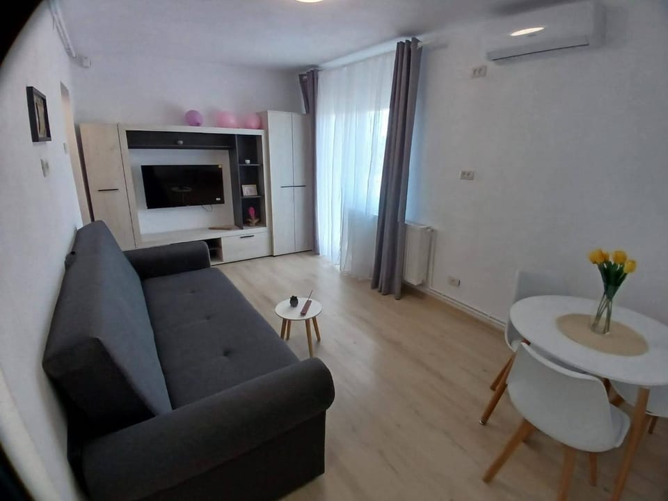 Apartament 1 camera , Garsoniera Apartment in Romania