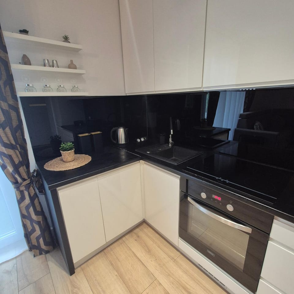 Kitchen or kitchenette, dishwasher, stove