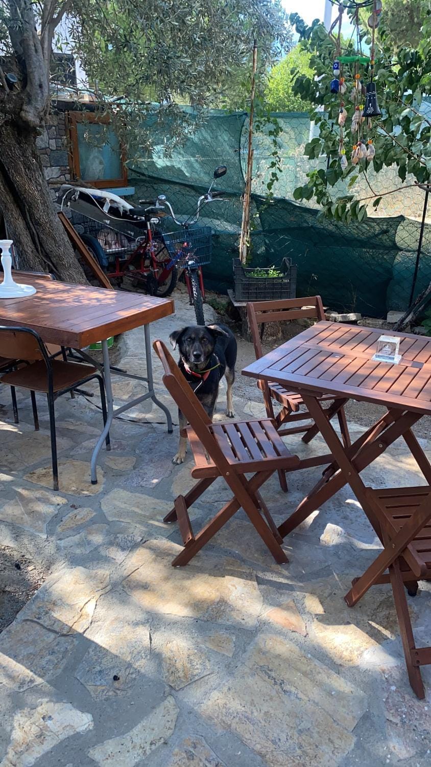 Garden, Dining area
