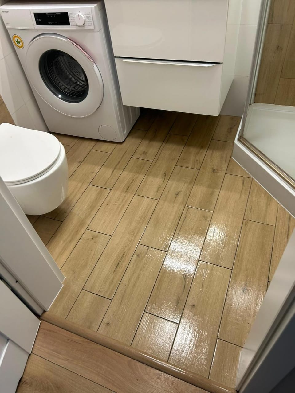 Toilet, Bathroom, washing machine