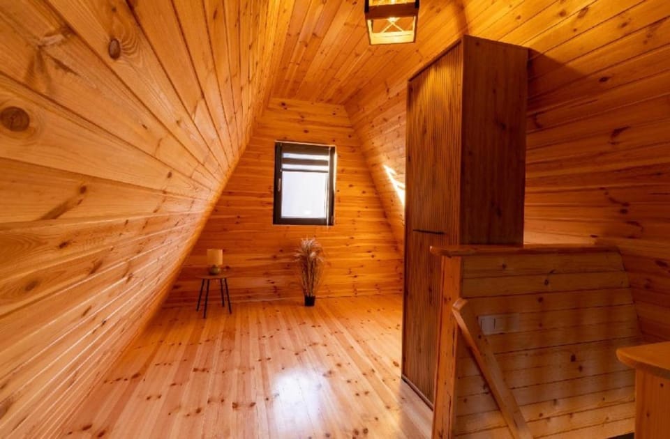 Aframe Twins Porumbacu de sus Nature lodge in Romania