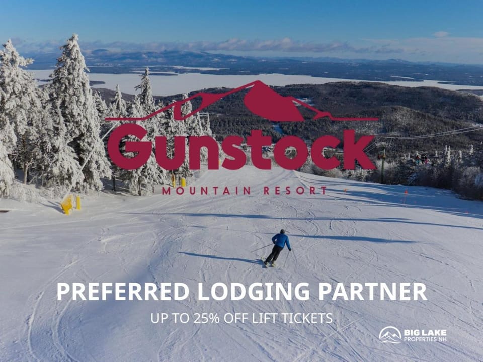 Lakefront Estate Private Beach Dock Luxury Retreat House in Alton