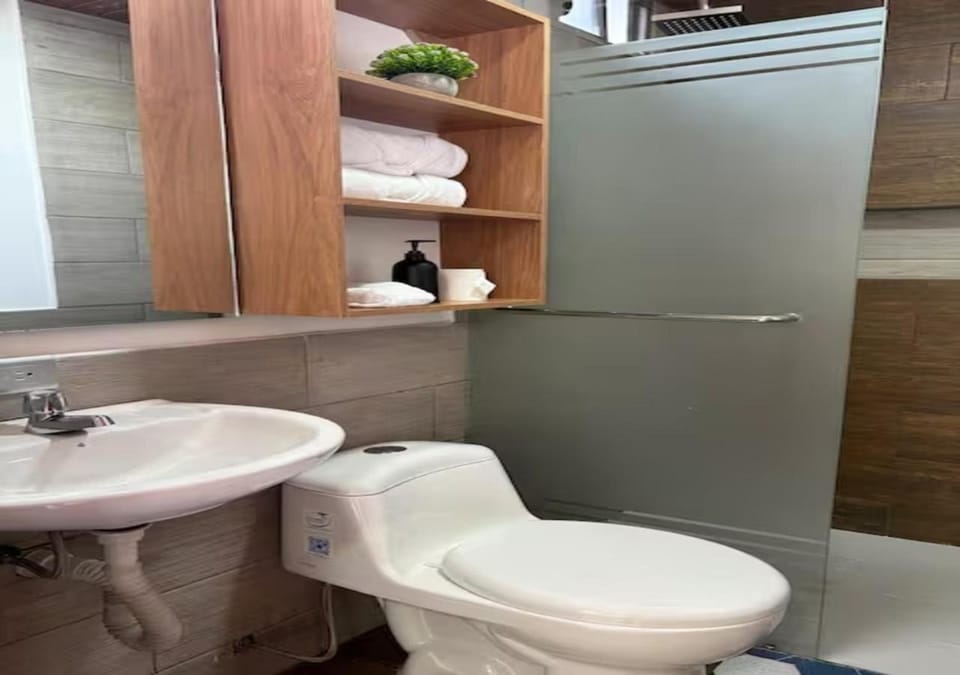 Toilet, Bathroom, towels