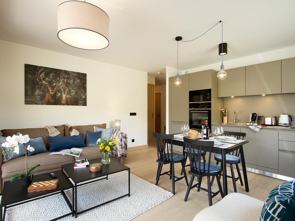 Appartement moderne aux pieds des pistes - FR-1-907-22 Apartment in Huez
