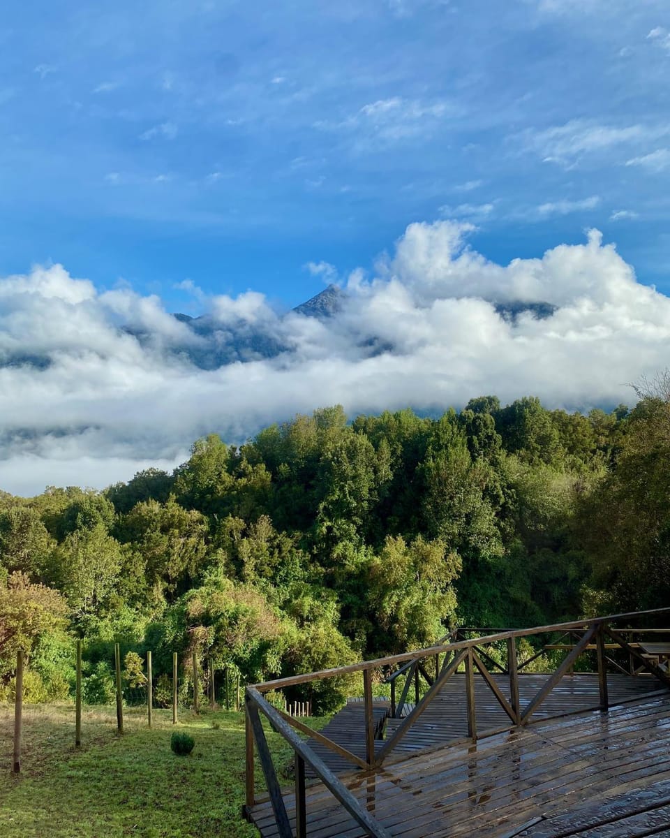 Day, Mountain view