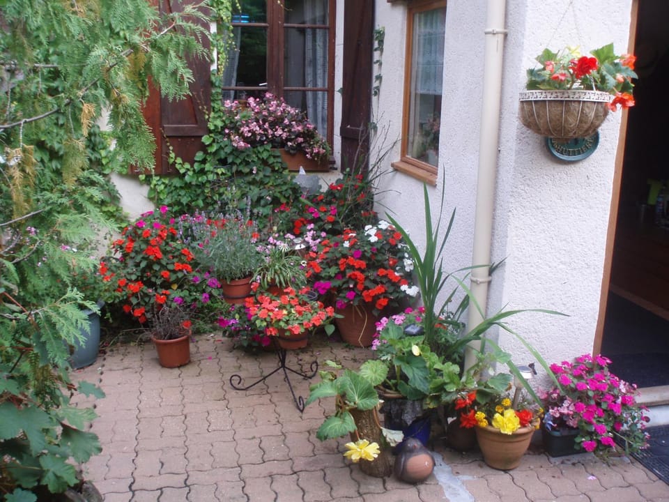 Rose House in Pays de la Loire