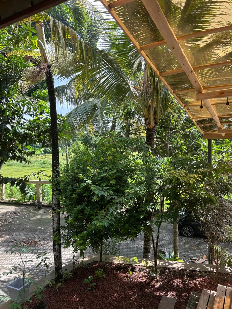Garden view
