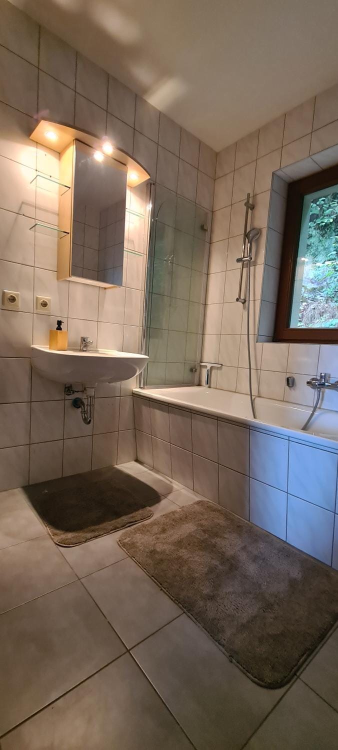 Charmante Auszeit in Leisnig Apartment in Saxony