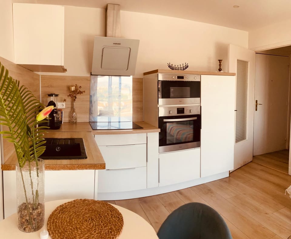 2 Pièces Vur Mer avec Balcon Apartment in Nice