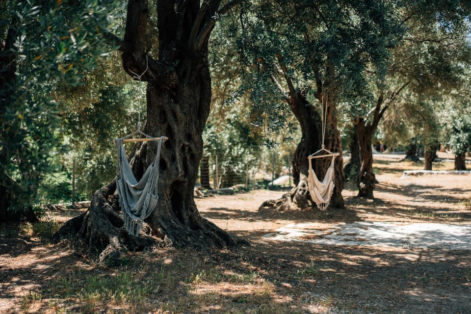 Natural landscape
