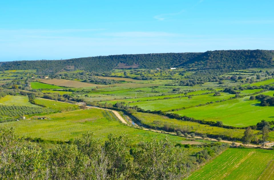 Spring, Neighbourhood, Natural landscape, Hiking
