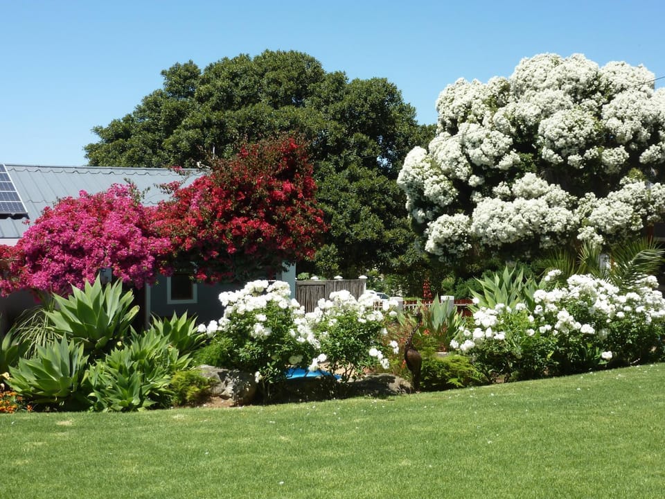 Spring, Garden, Garden