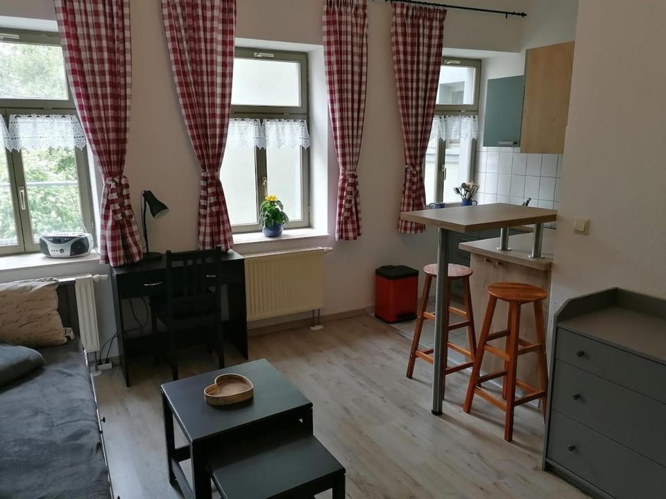 Studio in der Altstadt, in der Nähe von Theater&Universität, mit Küche und Waschmaschine Apartment in Freiberg