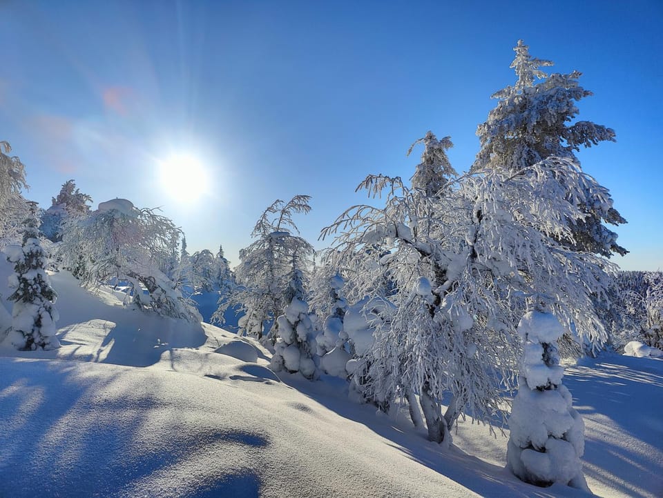 Winter