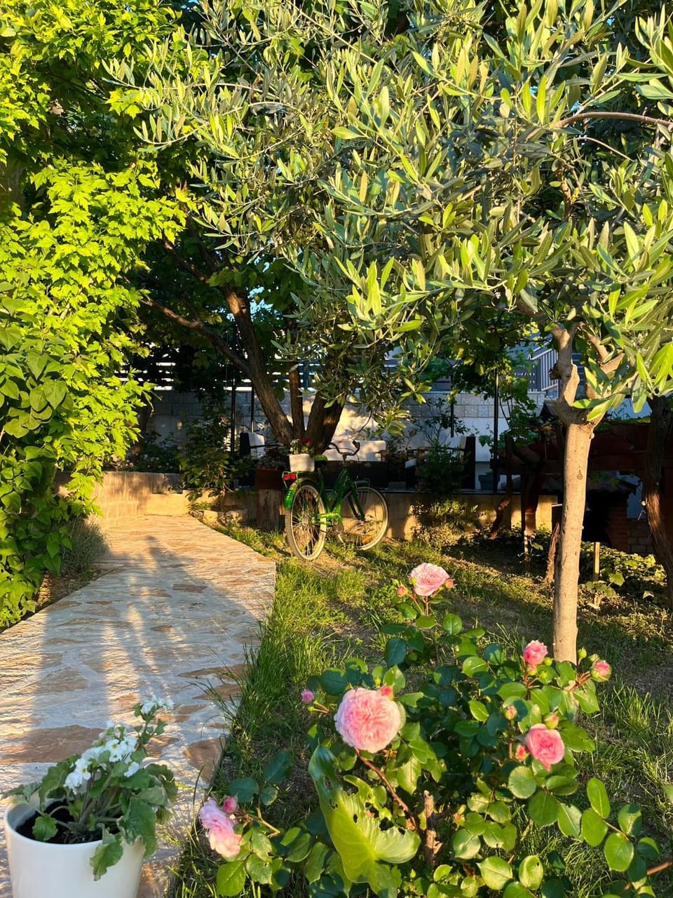 Day, Natural landscape, Garden
