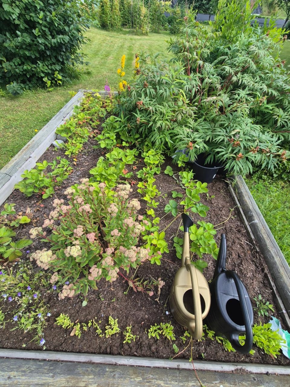 Garden, Garden view