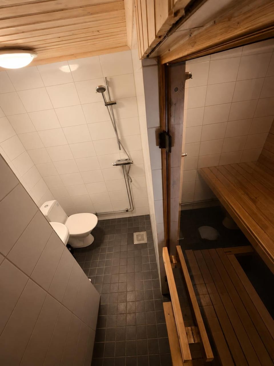 Shower, Toilet, Sauna, Bathroom