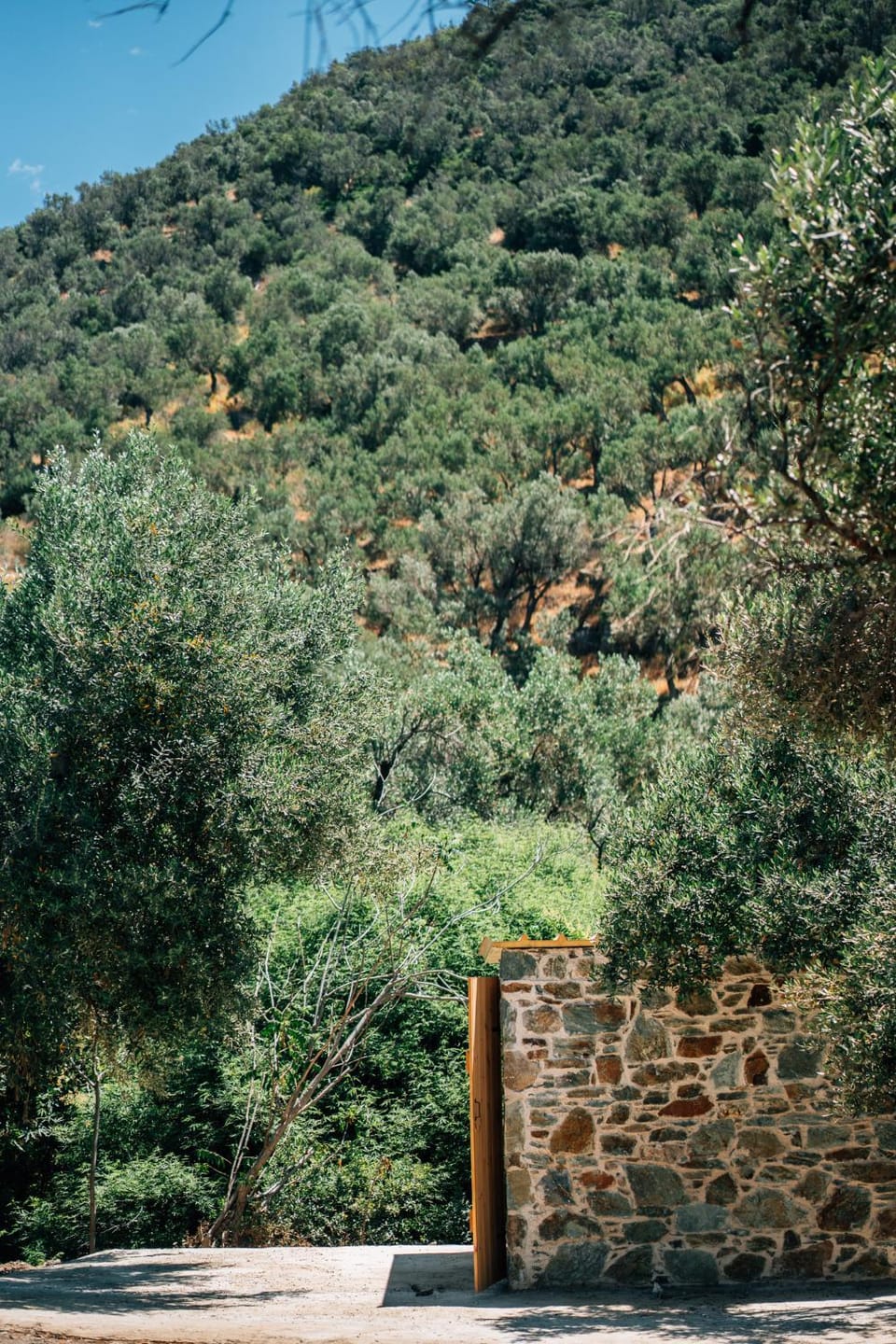 Natural landscape