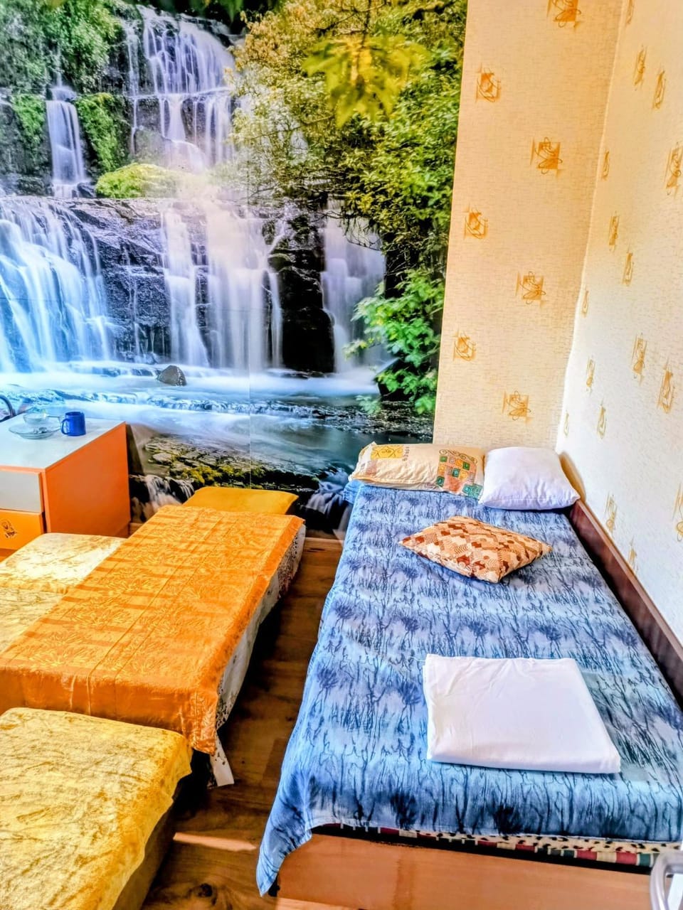 Bed, Photo of the whole room