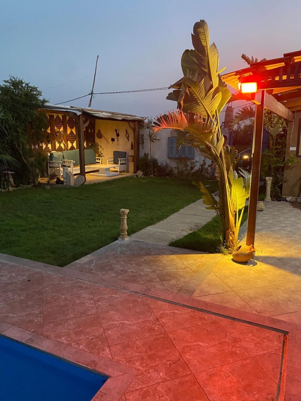 Night, Garden