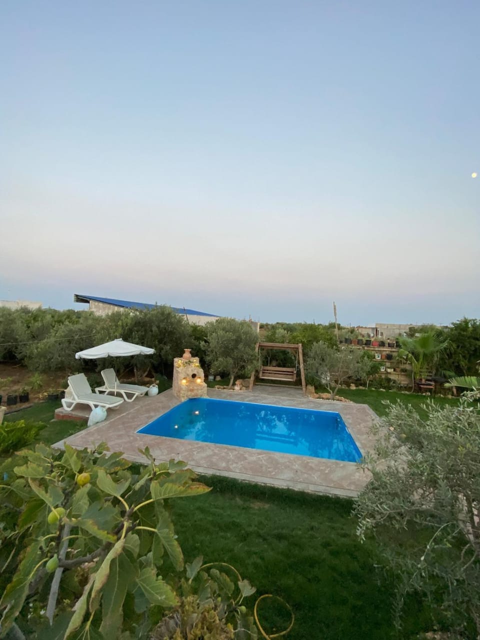 Pool view