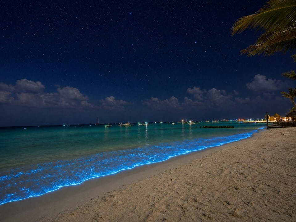Night, Natural landscape, Beach, Sea view