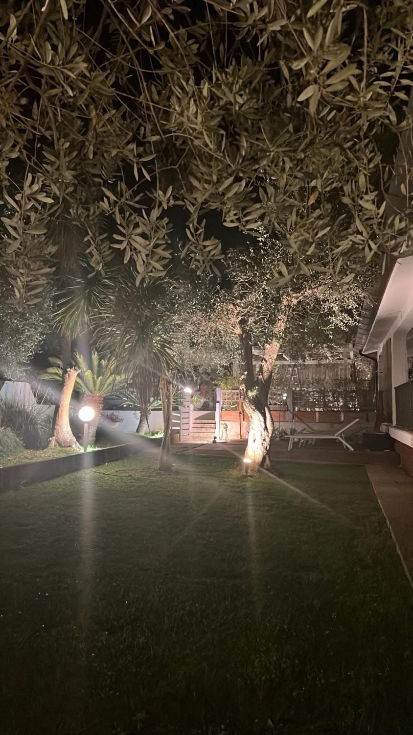 Night, Natural landscape, Garden